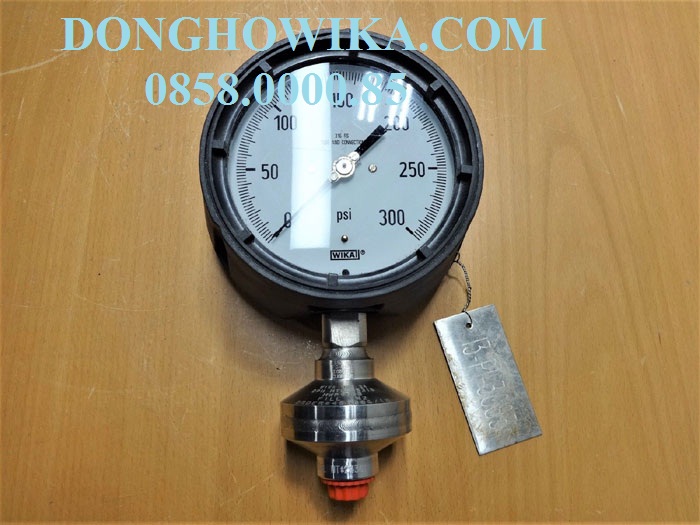 Đồng hồ đo áp suất màng WIKA model 232.50.100+990.34
